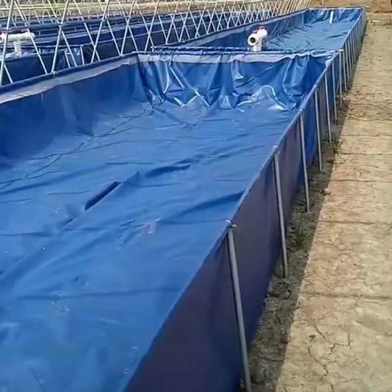 水蛭养殖池