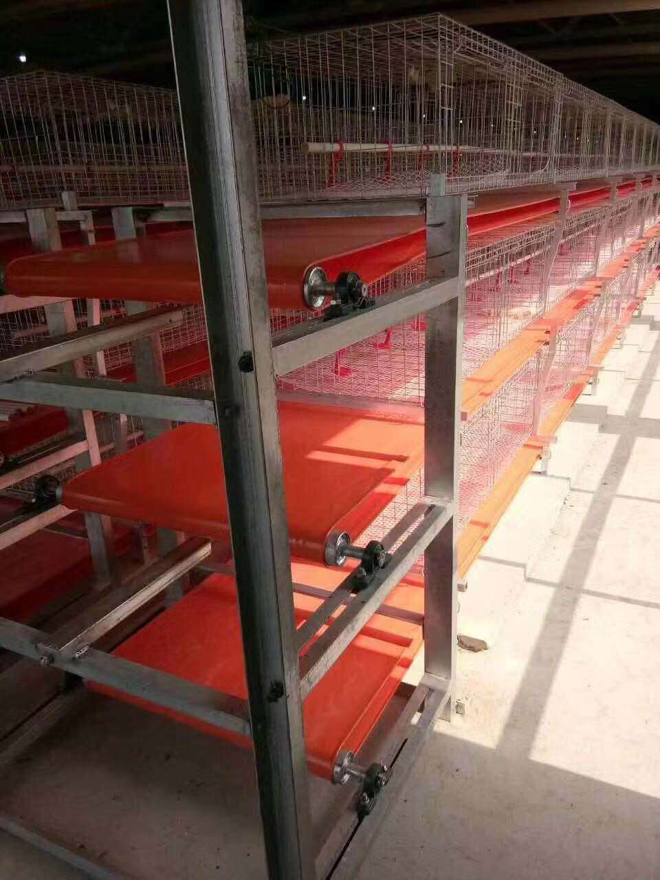 清粪带